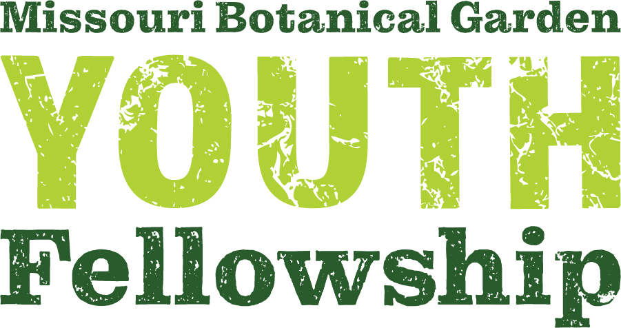 MBG Youth Fellowship logo
